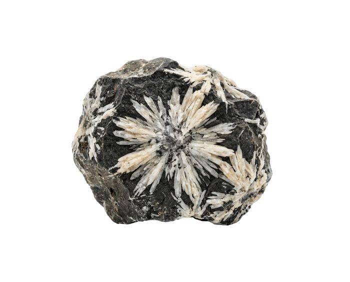Krysantemumsten, kristall