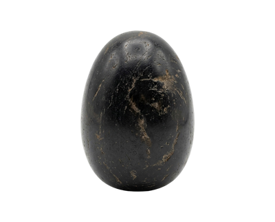 Svart Shiva Lingam – kristall som passar med Dalmatinersten