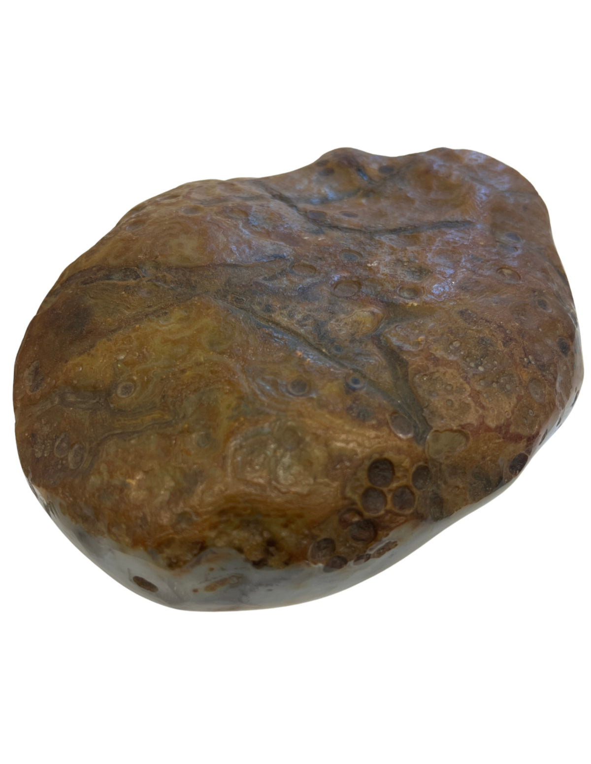 Dendritagat, delvis polerad skulptur, 20 x 16 cm, nr 02