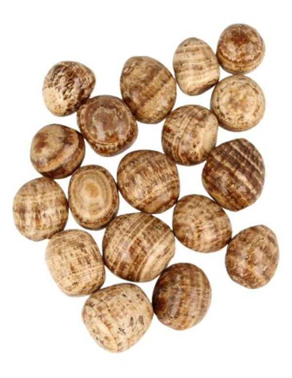 Aragonit trumlade stenar, brun, A-kvalitet, 100 g (ca 5 st)