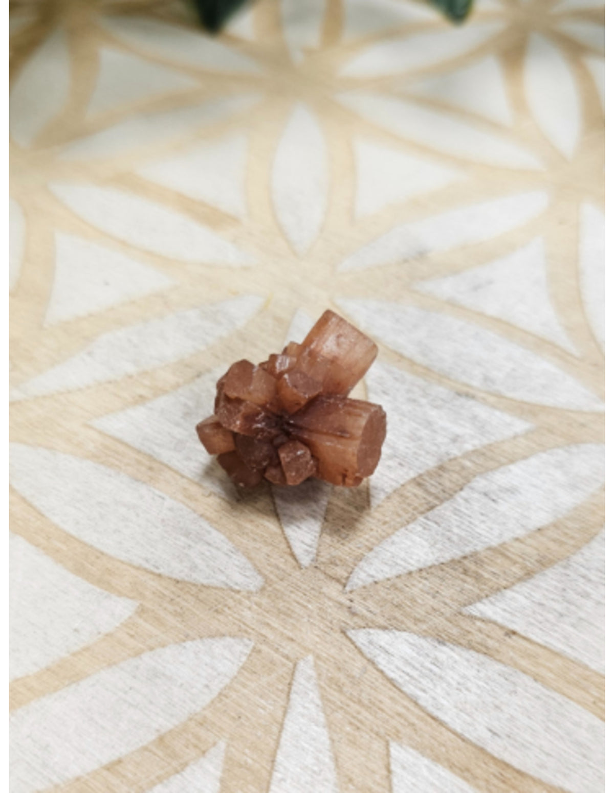 Aragonit rosett, liten, 1,5 till 2,5 cm, 10 till 30 g