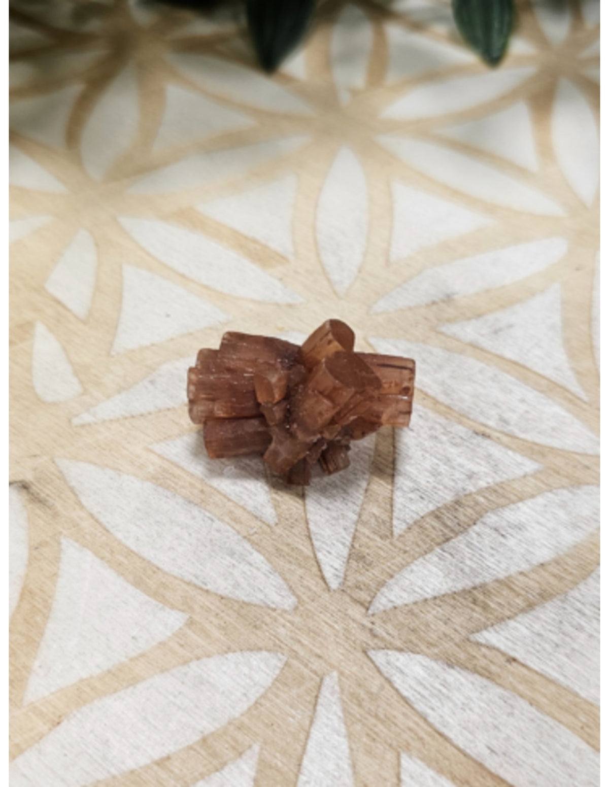 Aragonit rosett, liten, 1,5 till 2,5 cm, 10 till 30 g