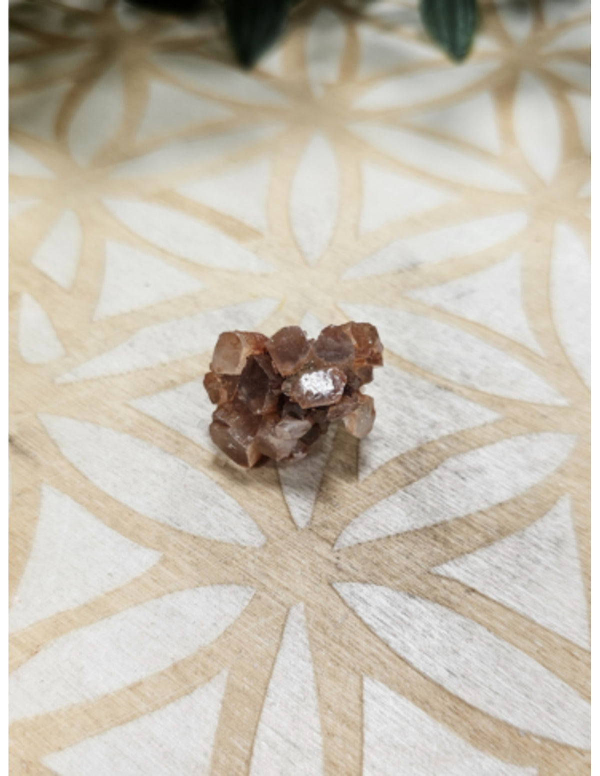 Aragonit rosett, liten, 1,5 till 2,5 cm, 10 till 30 g