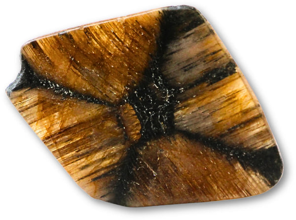 Kiastolit skiva, korsstenen, 2,5 till 4 cm