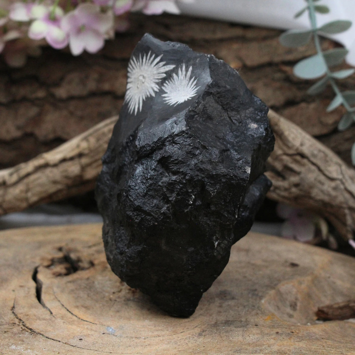 Krysantemumsten rå, 10 cm, nr 13
