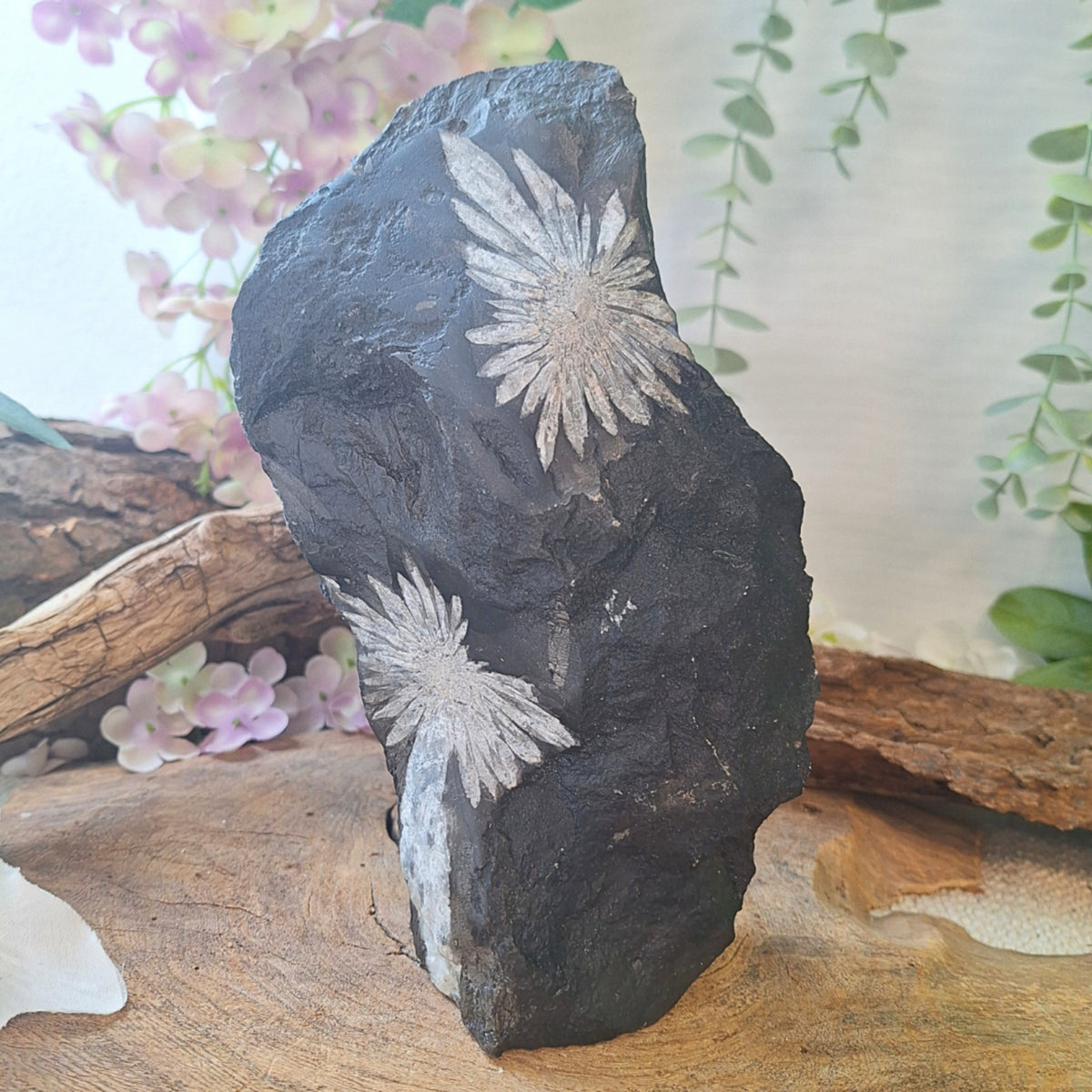 Krysantemumsten skulptur, 21,6 cm, nr 07