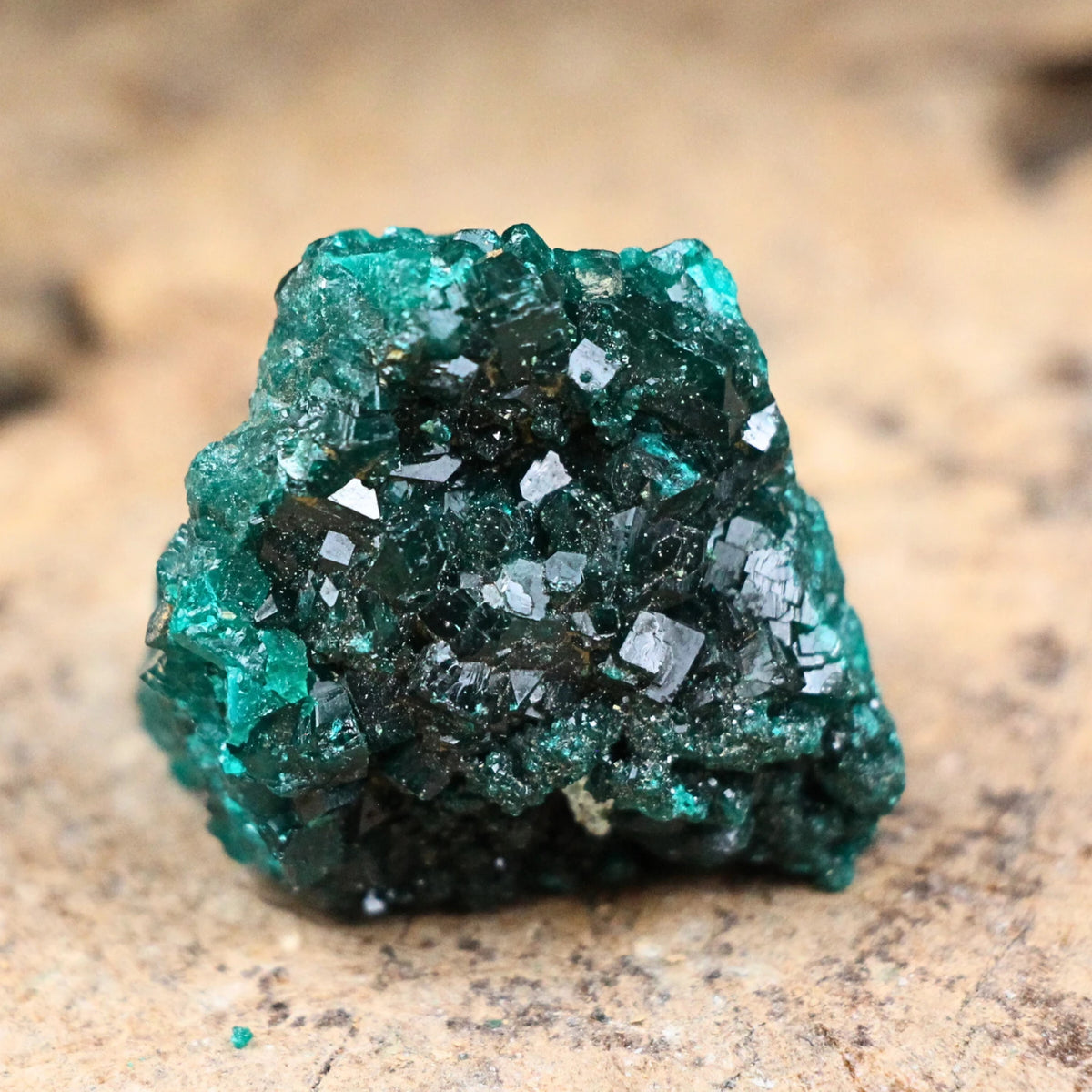 Dioptas kristallkluster, ca 3 cm, nr 02
