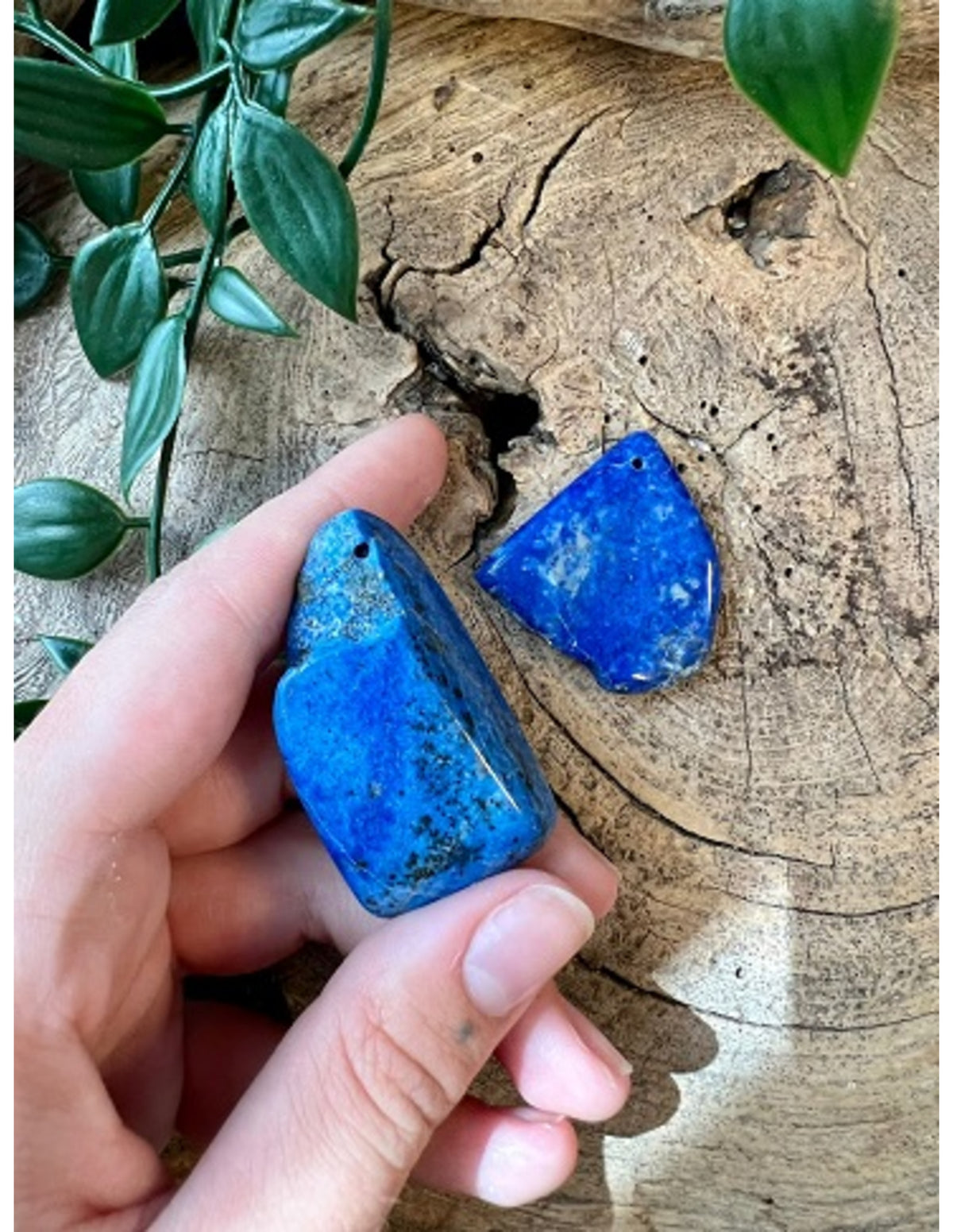 Lapis lazuli hänge, borrat, halvpolerat, 3 till 5 cm