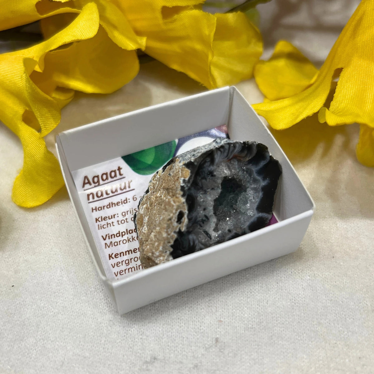 Agat geod i ask, ask 5 x 4,5 cm