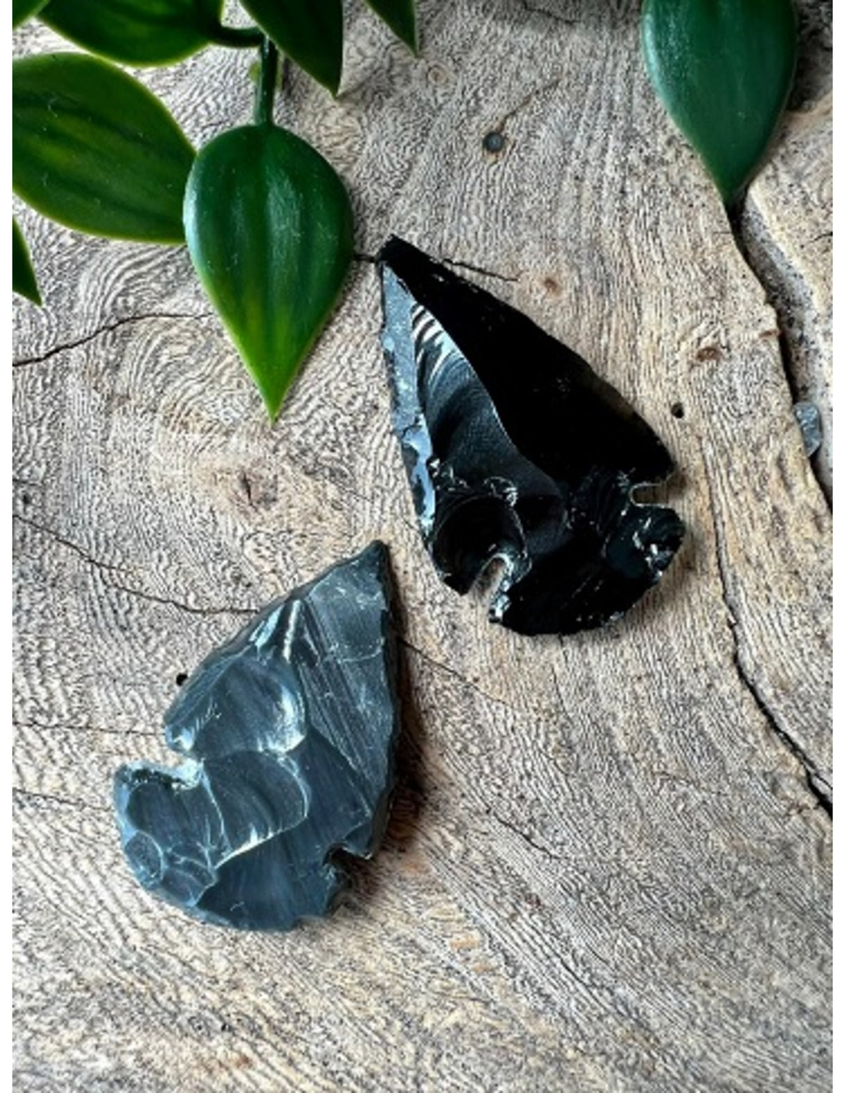 Obsidian spjutspets i ask, svart, 4,5 x 2,5 cm