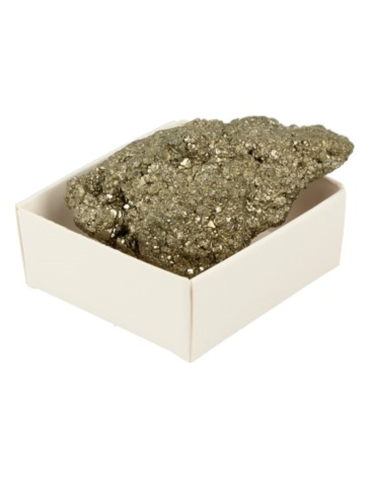Pyrit mineralprov i ask, rå, guldgul