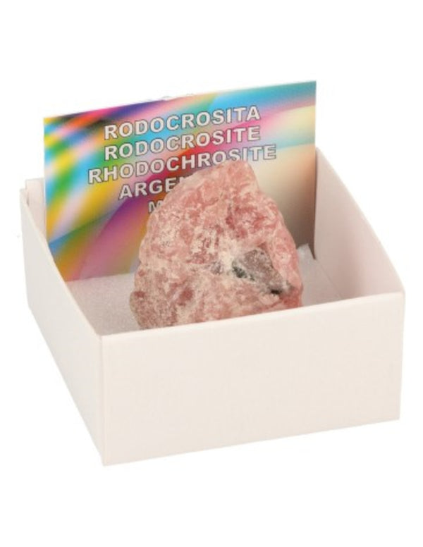 Rodokrosit kristall i ask, rosa, 3 cm