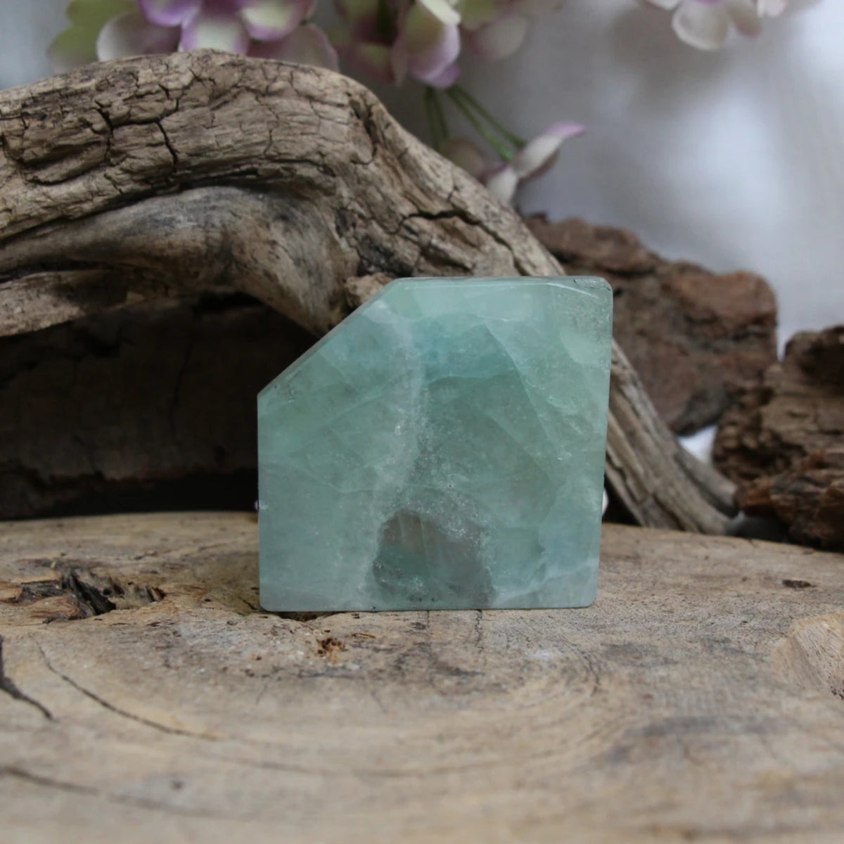 Fluorit skiva, polerad, 5,5 cm, nr 14