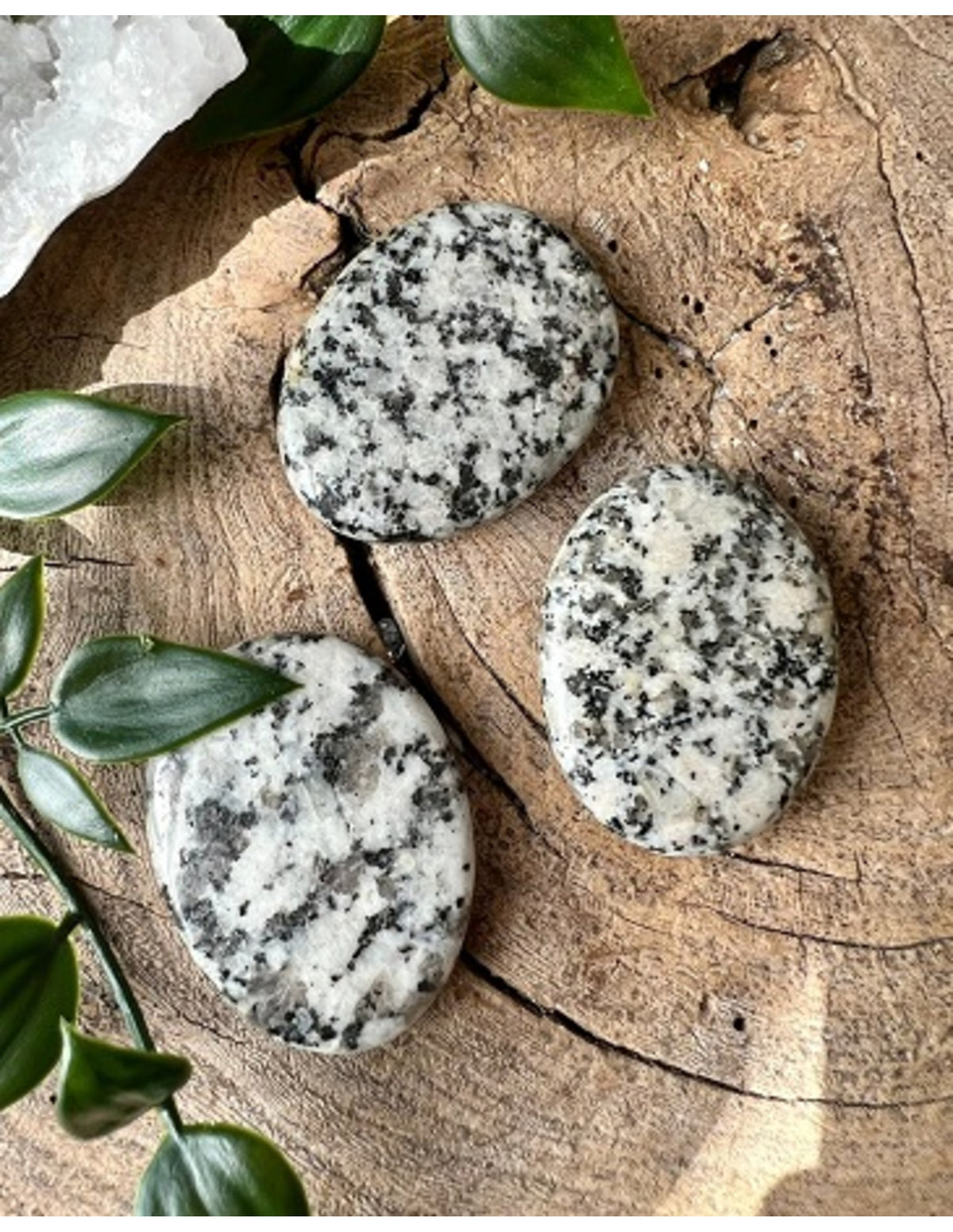 Granit ficksten, polerad, brun och vit, 4 till 6 cm