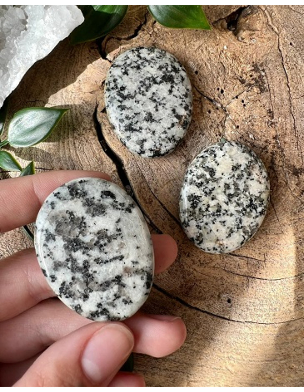 Granit ficksten, polerad, brun och vit, 4 till 6 cm