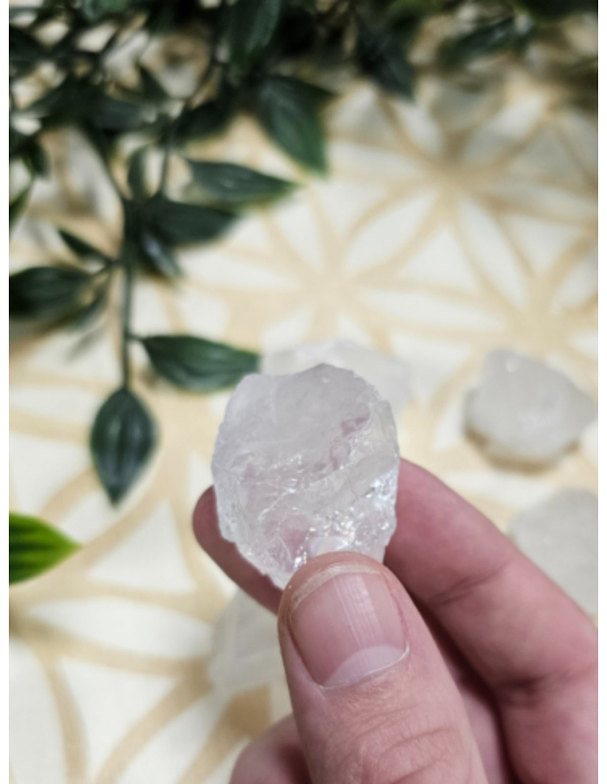 Gyrasol råa bitar från Brasilien, 250 g, 3 till 5 cm