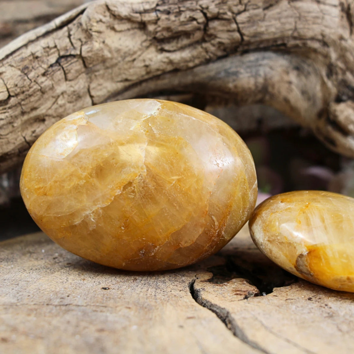 Golden healer kvarts palmsten, guldgul, Madagaskar