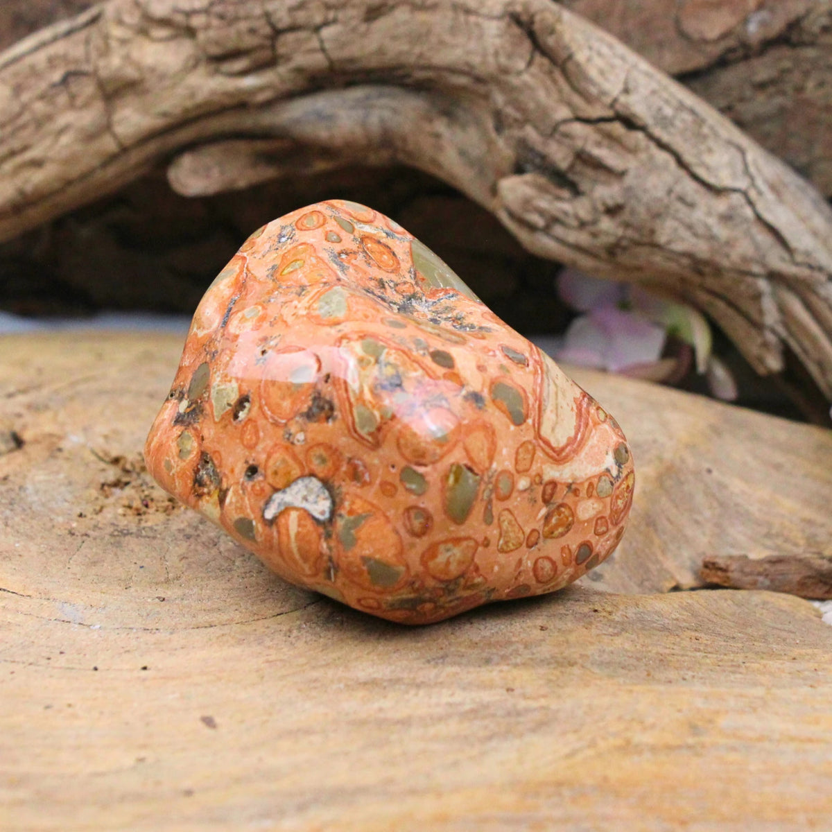 Big Bang jaspis handsten, leopardmönster, 7,7 cm, nr 02