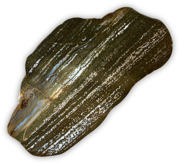Oceanjaspis skiva, polerad, 40 x 22 cm, 2,13 kg, nr 01