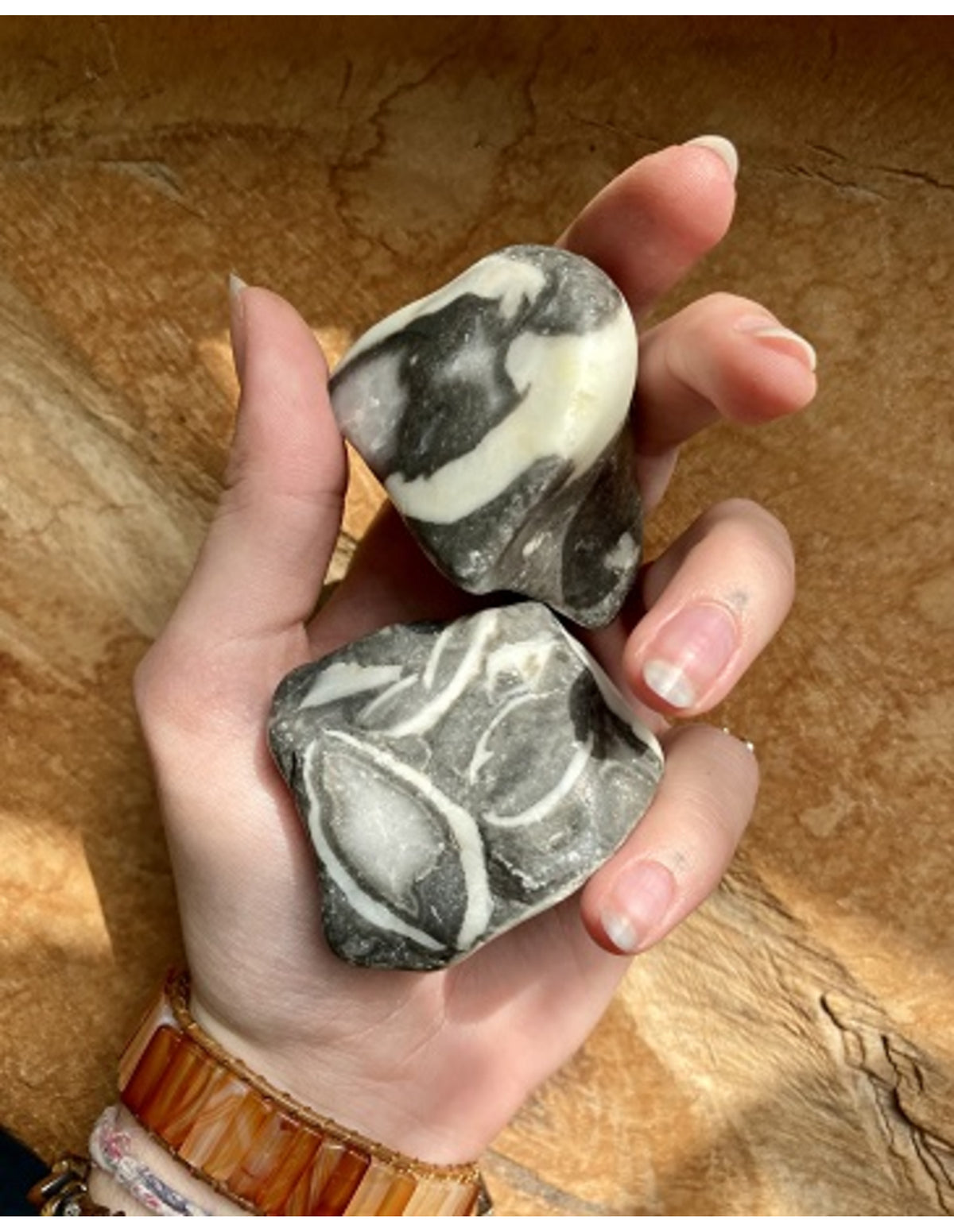 Skaljaspis (musselsten) råa stenar, 400 g