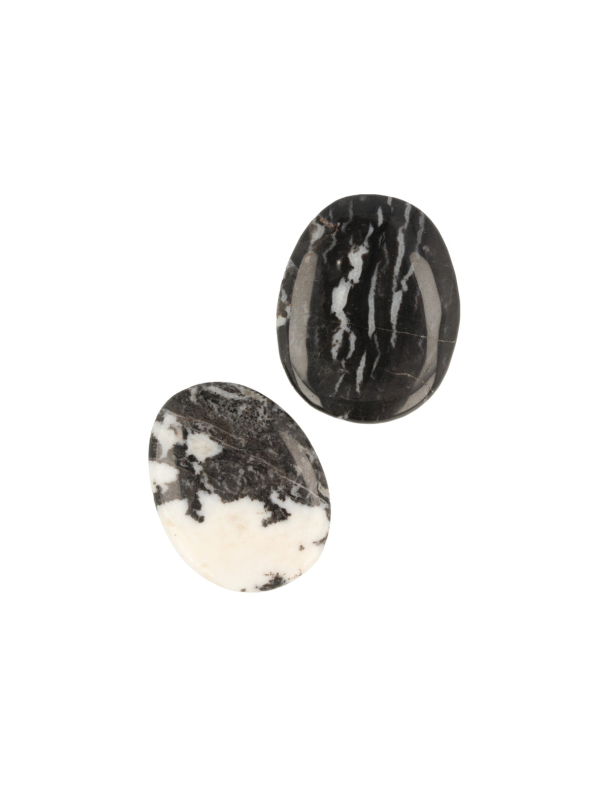Zebrajaspis ficksten, svartvit, 4 till 6 cm