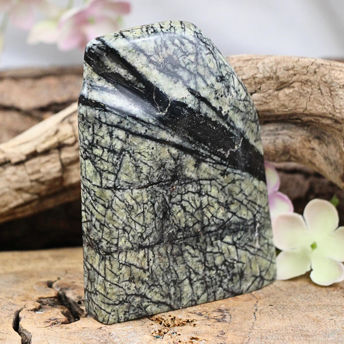 Jungle jaspis skulptur, 10 x 2 x 8 cm, 0,29 kg, nr 10