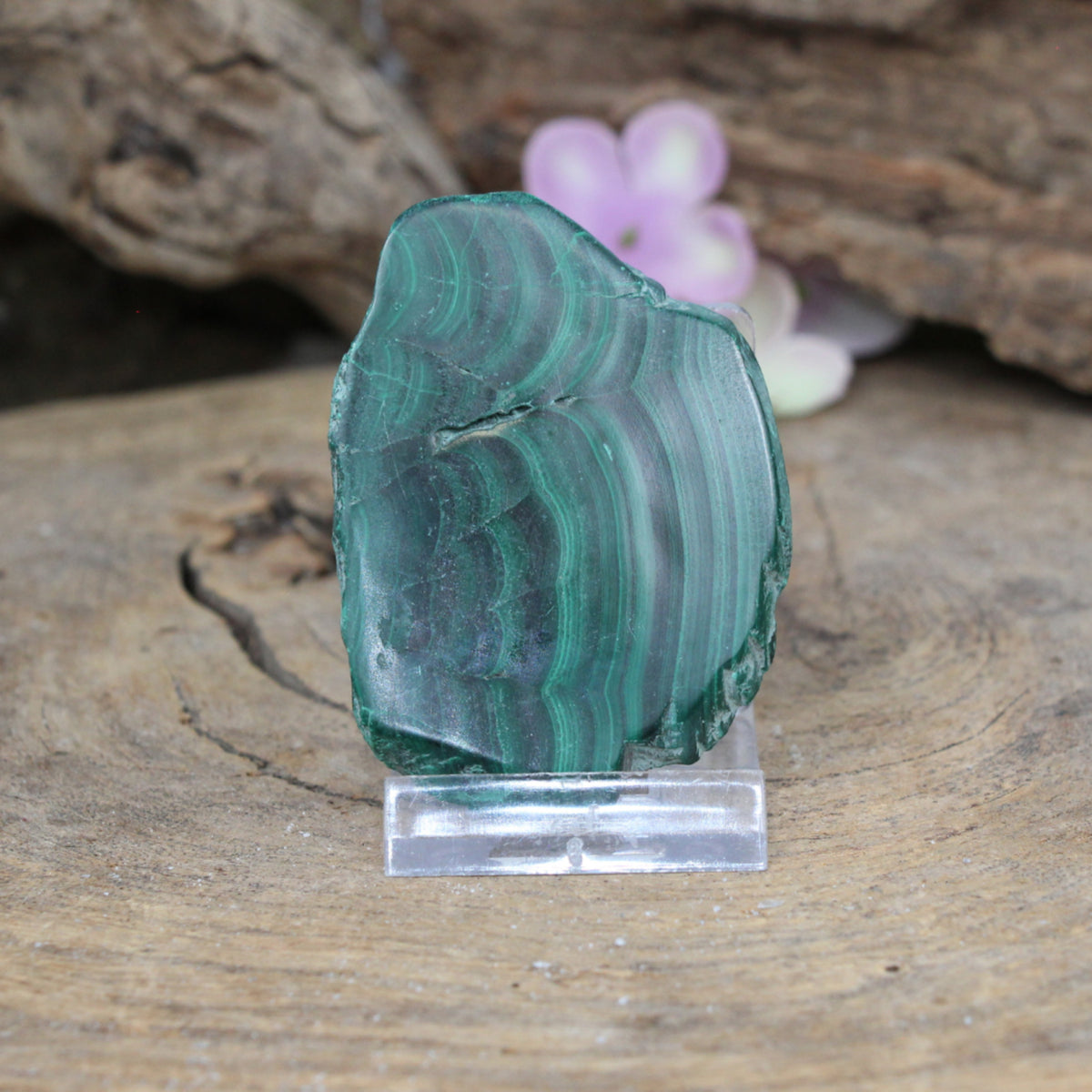 Malakit skiva, polerad, 6,8 x 5 x 0,5 cm, nr 19