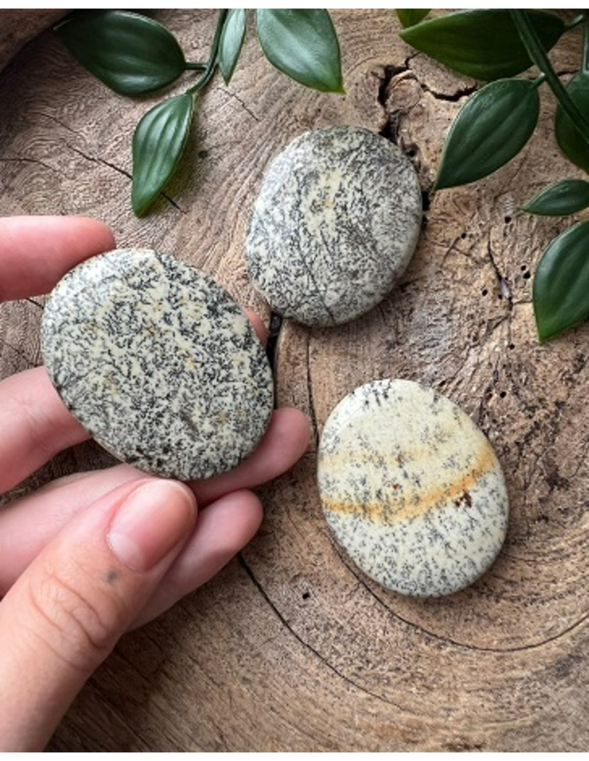 Opal ficksten, dendrit, 3 till 5 cm