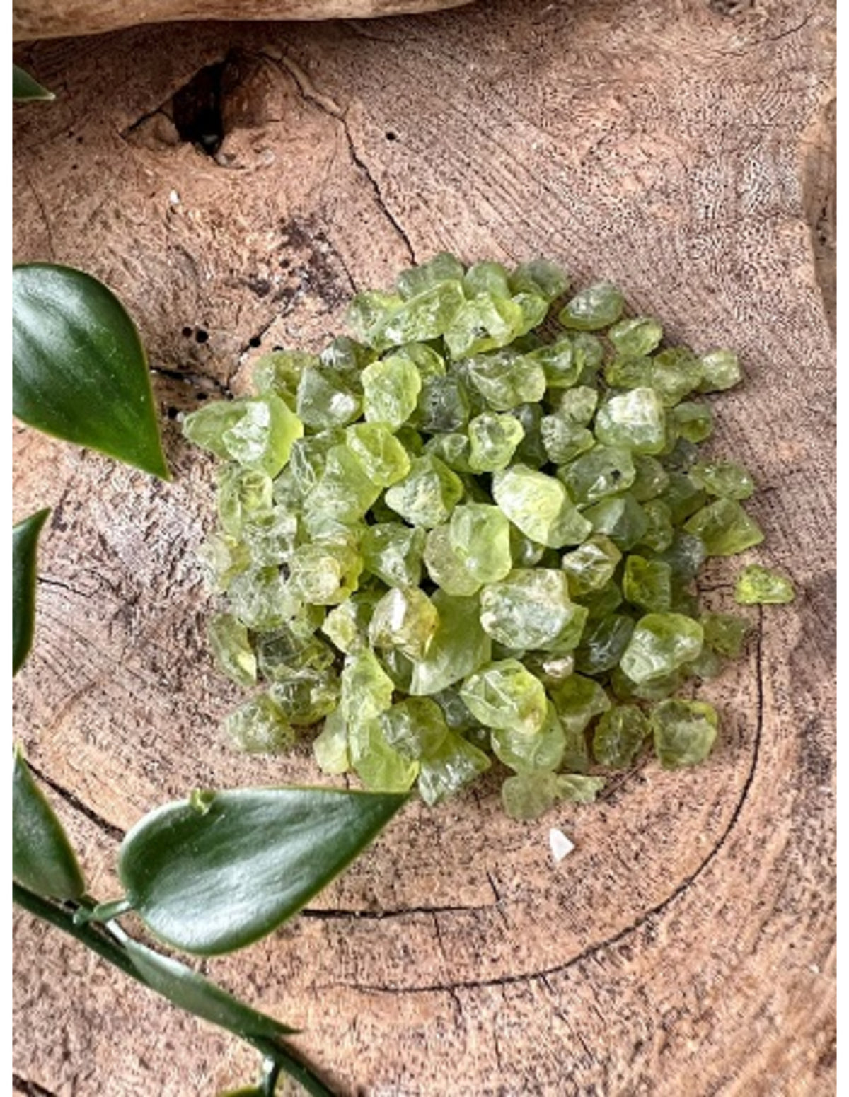Peridot råa stenar i A-kvalitet från Afghanistan, 50 g