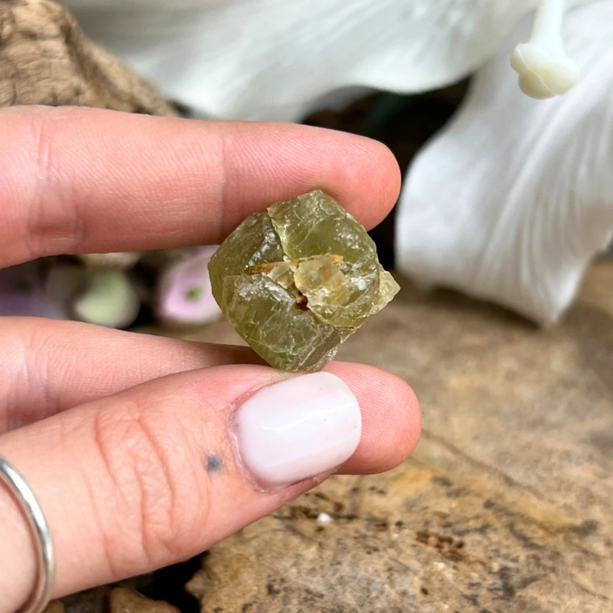Peridot kristall, rå, AAA-kvalitet, 2 cm, nr 03 (10 g)