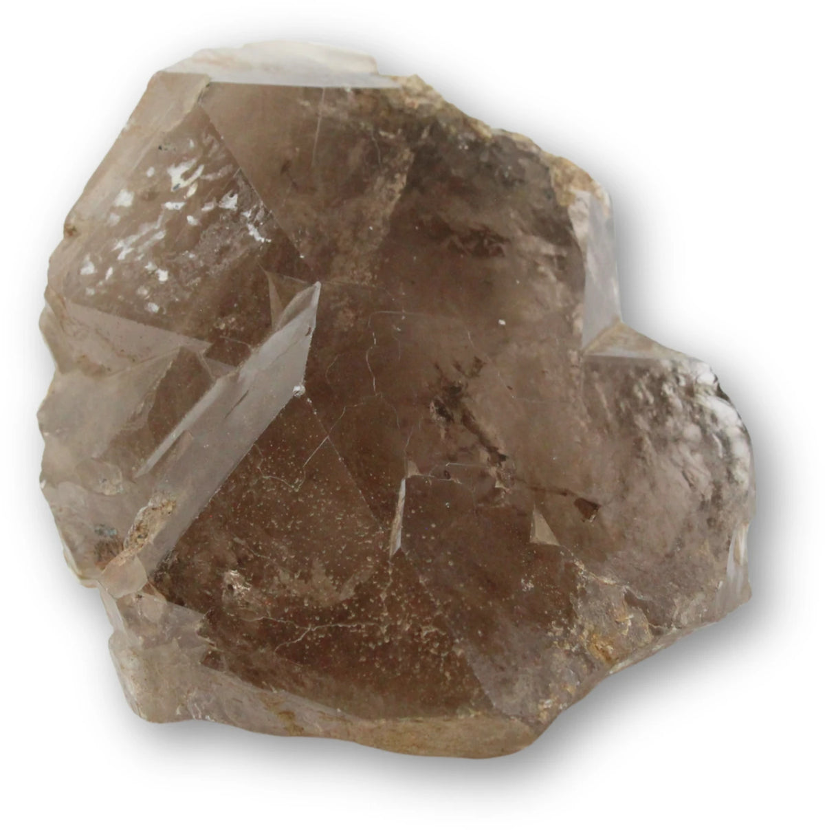 Rökkvarts kristall, rå AA-kvalitet, nr 10 (1,56 kg)