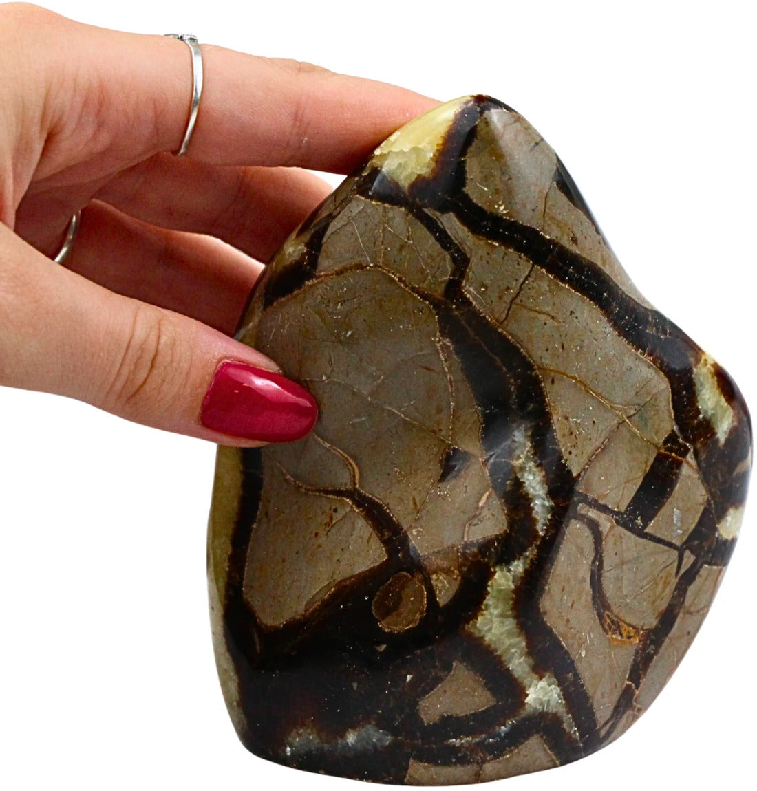 Septarie skulptur, Madagaskar, nr 5 (656 g)