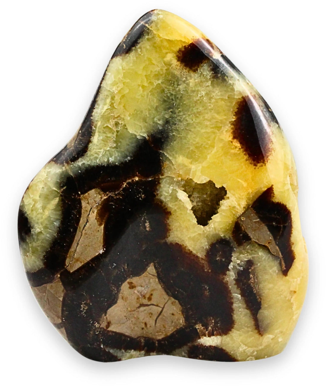 Septarie skulptur, Madagaskar, nr 5 (656 g)