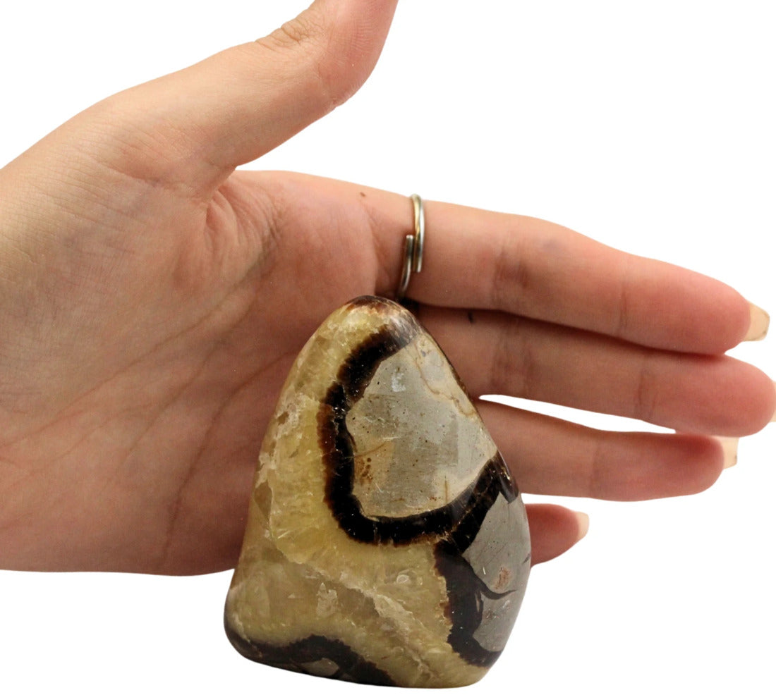 Septarie skulptur, Madagaskar, 7 x 4 x 5 cm, nr 10