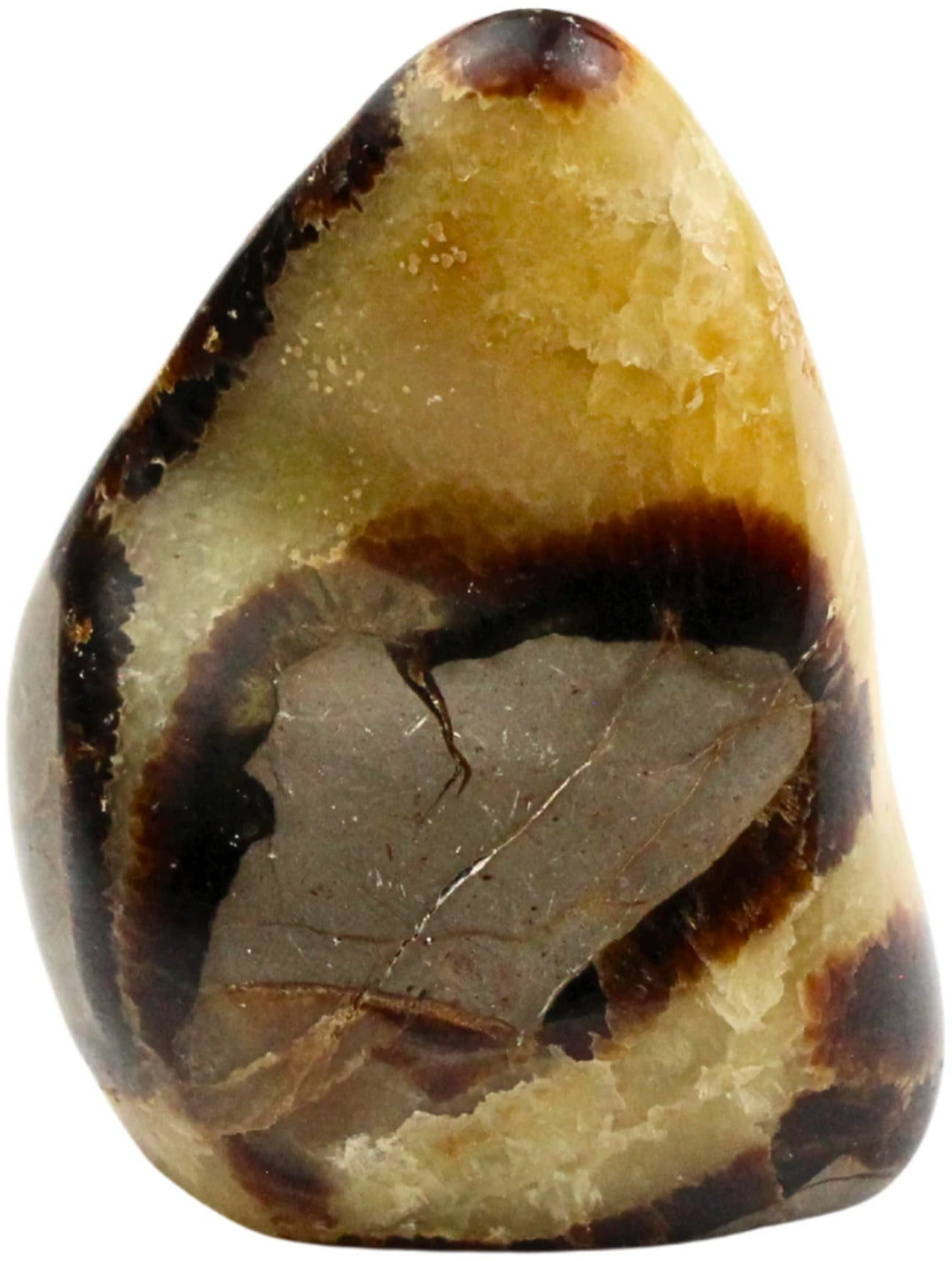Septarie skulptur, Madagaskar, 7 x 4 x 5 cm, nr 10