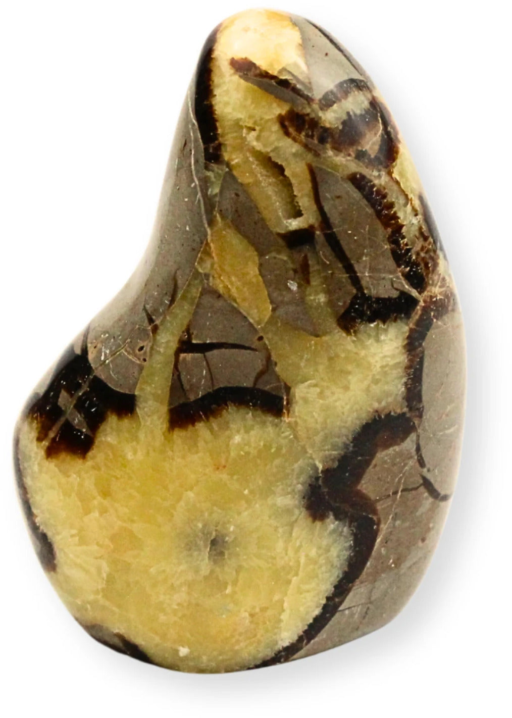 Septarie skulptur, Madagaskar, 7 x 3 x 5 cm, nr 11