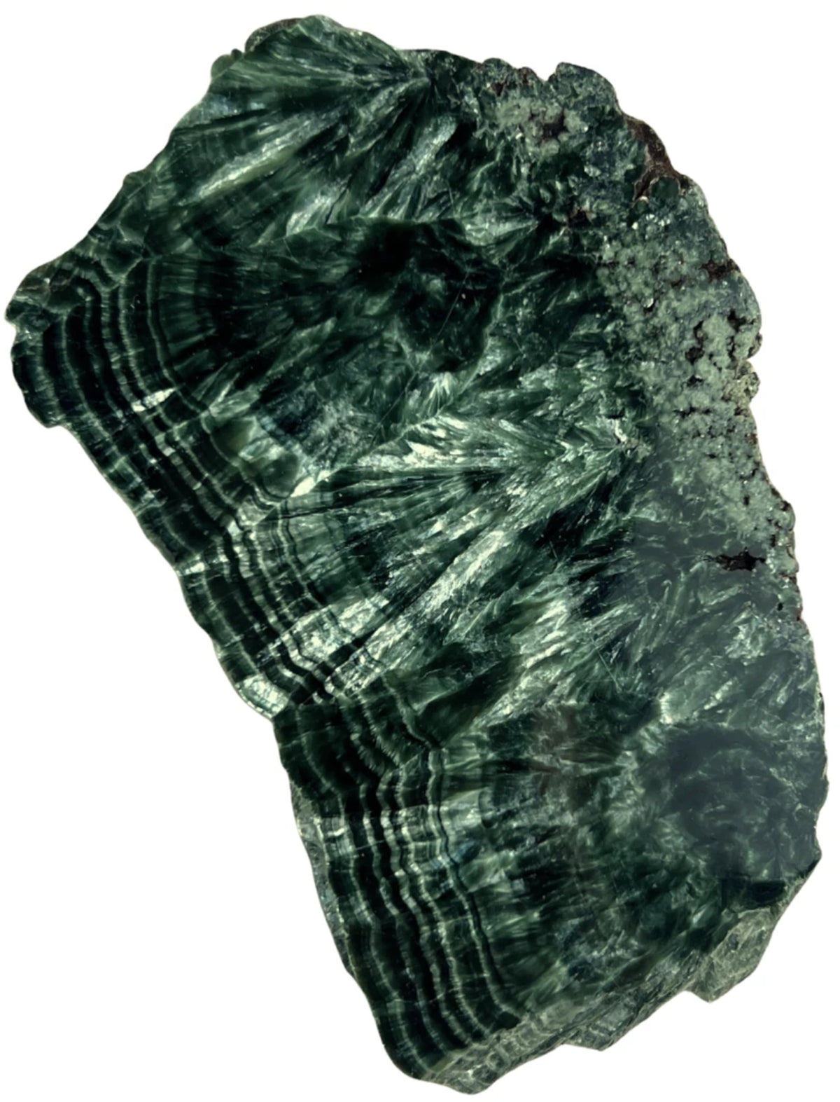 Serafinit skiva, delvis polerad, 11 cm, 130 g, nr 8
