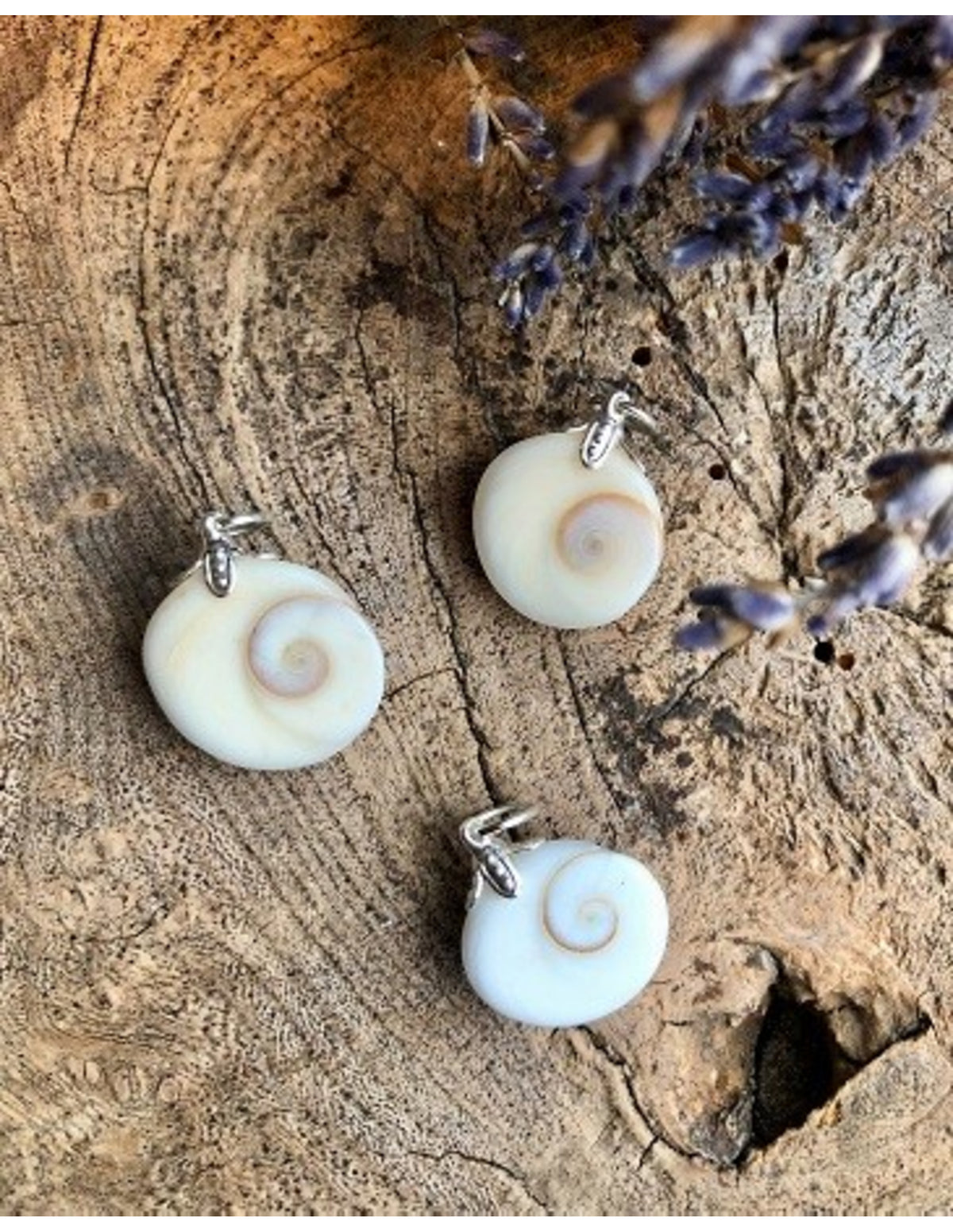Shiva eye hänge, snäcklock med spiralmönster