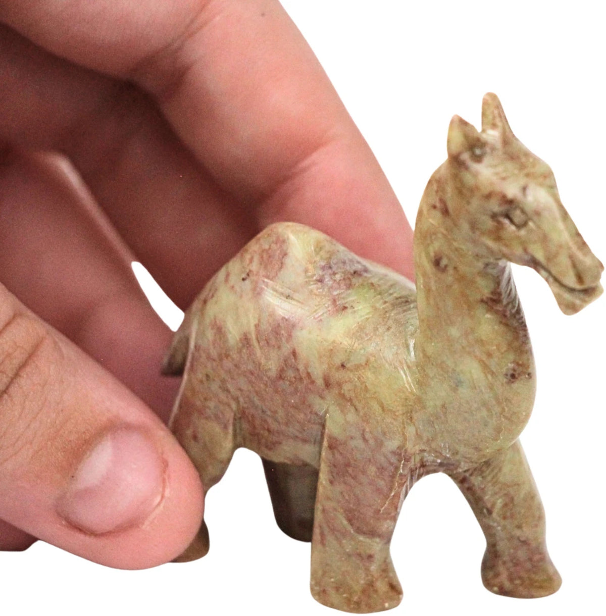 Täljsten kamel, grön