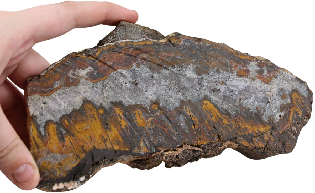 Tigerjärn skiva, polerad, ca 9 cm, nr 15
