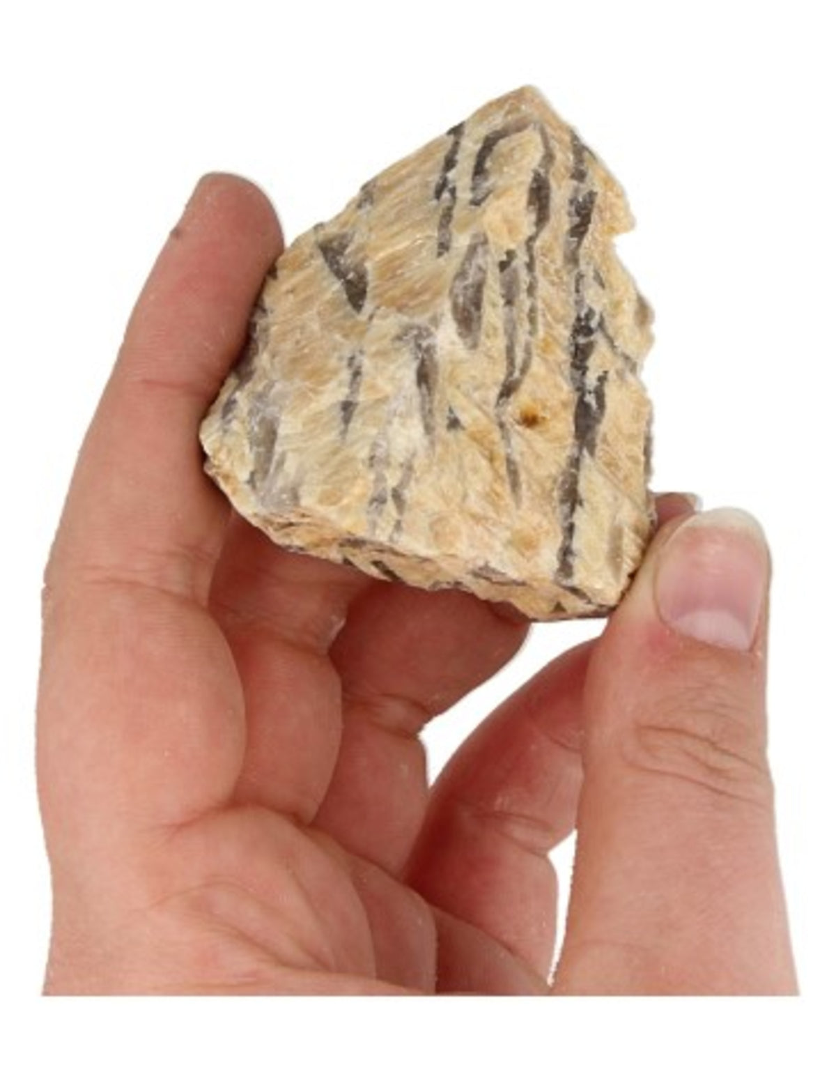 Zebradorit rå, 50 till 80 g (4 till 7 cm)