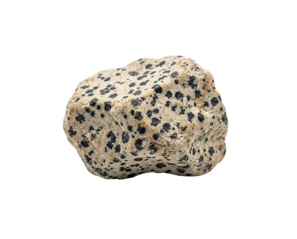 Dalmatinersten