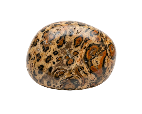 Gepard-jaspis – råsten