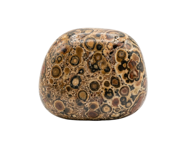 Leopardjaspis – råsten