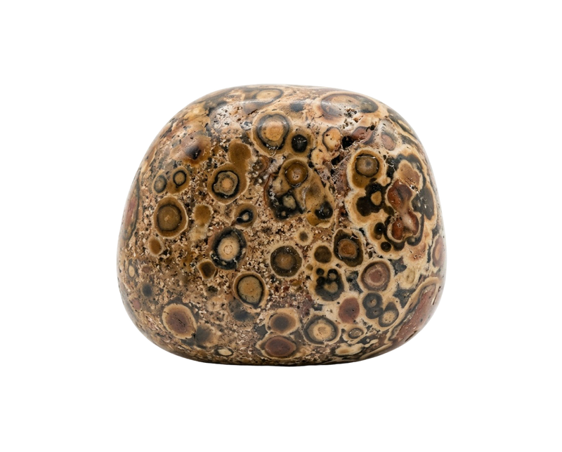 Leopardjaspis – kristall