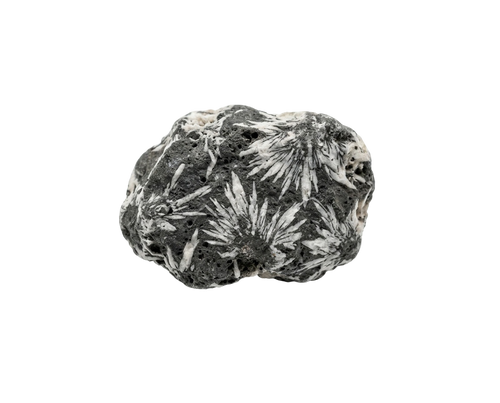 Pinolit