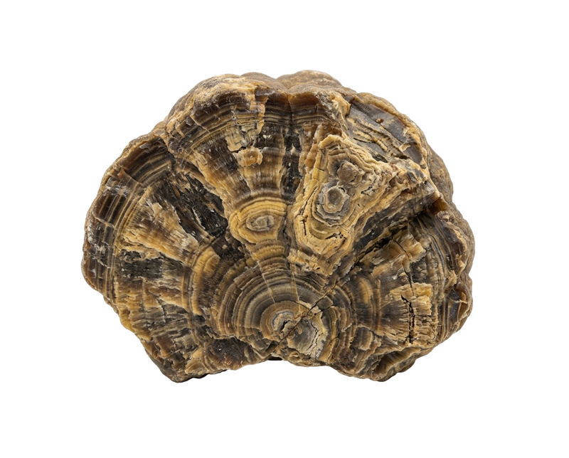 Schalenblende – kristall