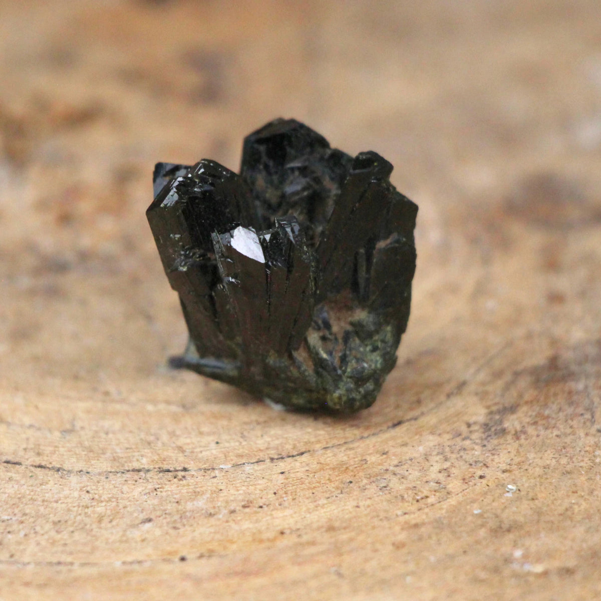 Aegirin kristall, rå, svartgrön, 2,5 cm, nr 02