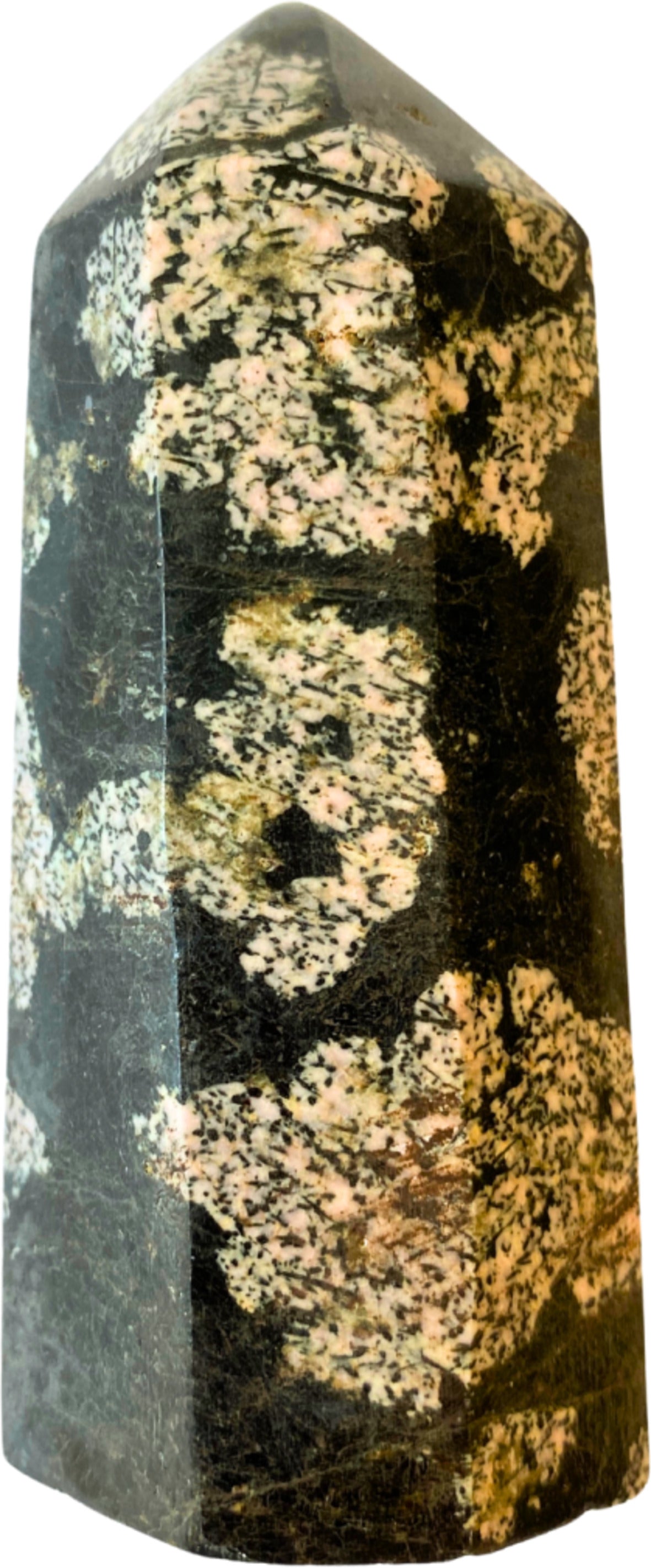 Trädagat spets, mörk, 8,7 cm, nr 11