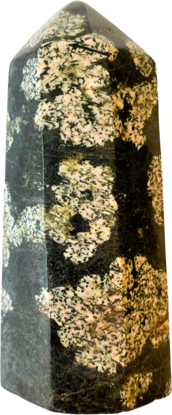 Trädagat spets, mörk, 8,7 cm, nr 11